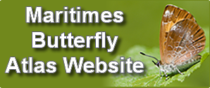 Maritimes Butterfly Atlas Website Button